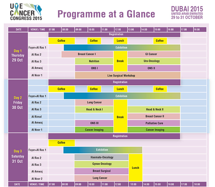 UAECC2015 program at glance_02